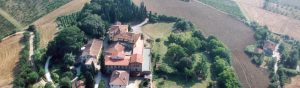 profilbild-von-tenuta-di-colle-alberti