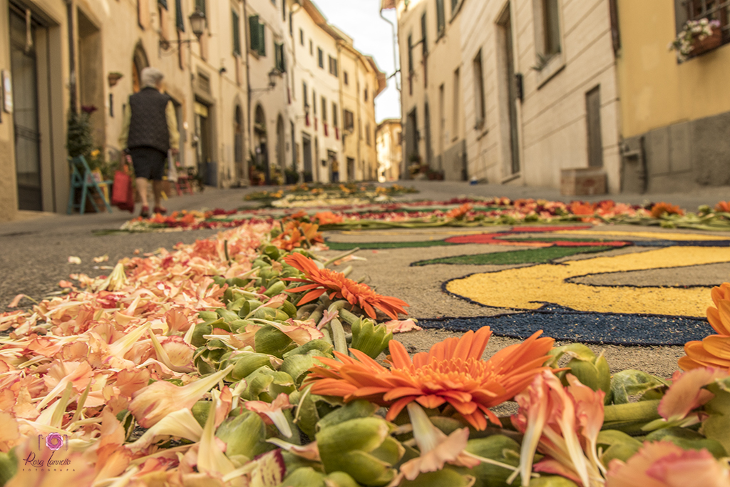 Attimi e prospettive dell’Infiorata 2018