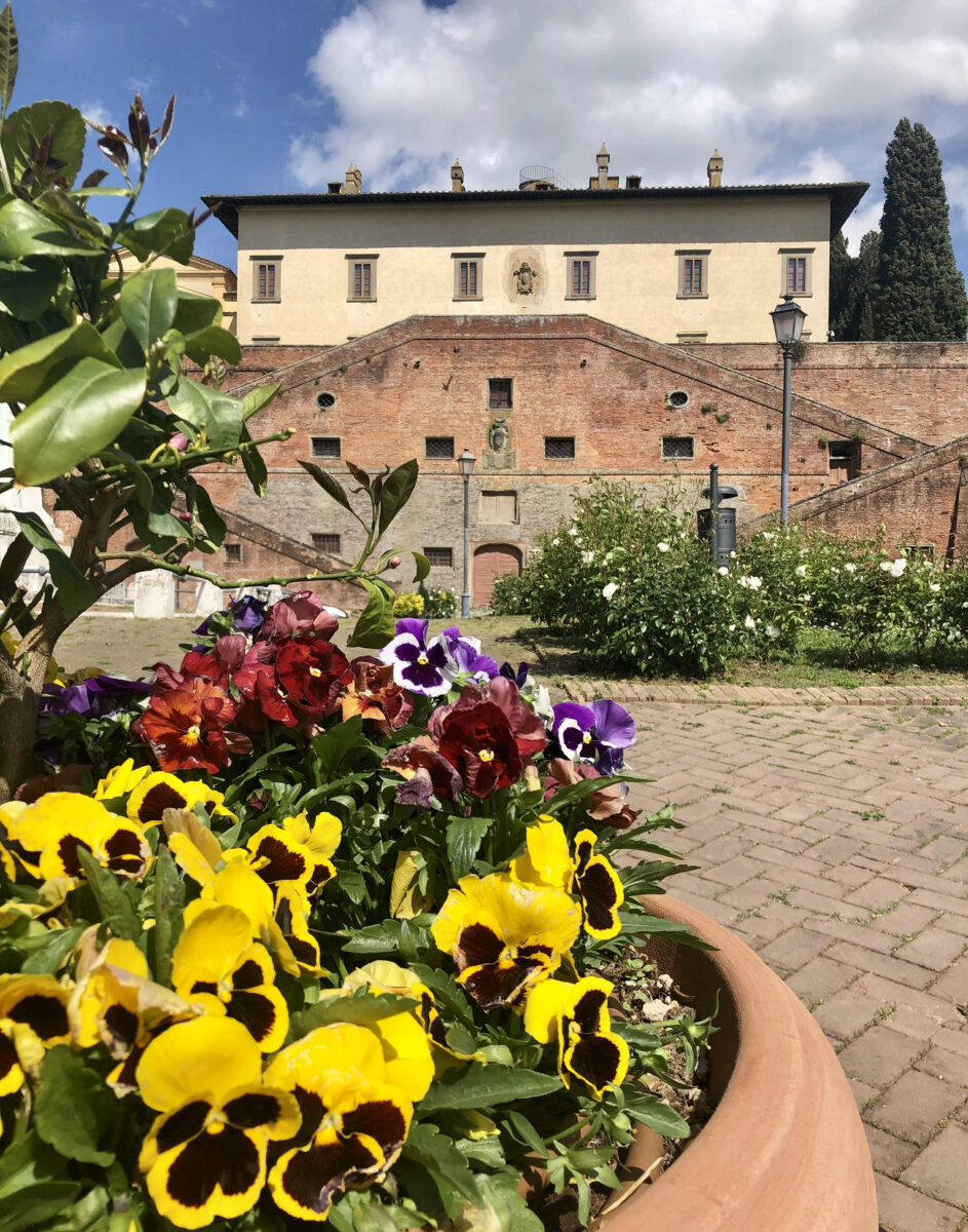 IL RISVEGLIO DI PRIMAVERA 2021